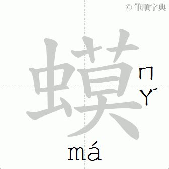 瑋幾畫|「瑋」意思、注音、部首、筆畫查詢，瑋造詞